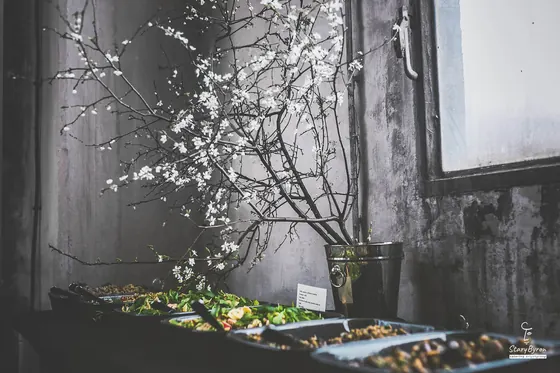 Realizacja Stary Byron, catering artystyczny
